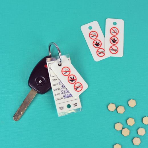 Picture of No Smoking Tag