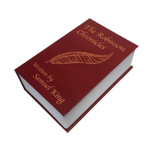 Picture of Locking Diversion Book Safe