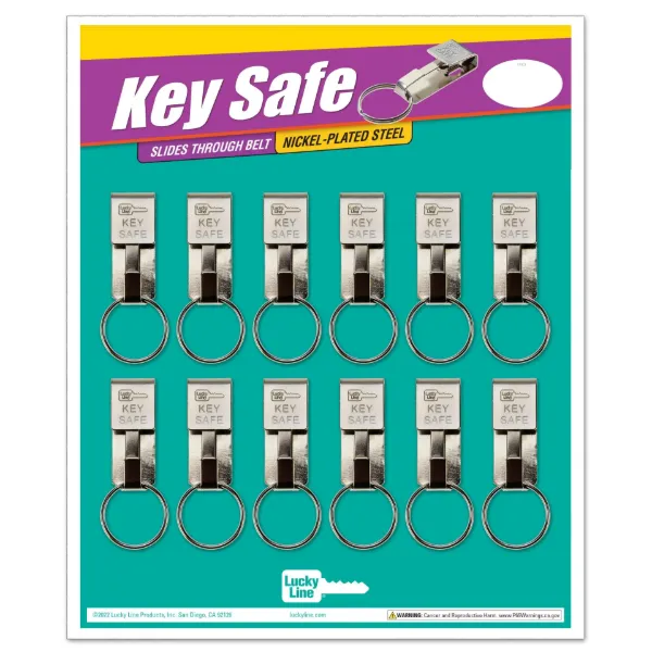 KEY SAFE  NPS  12ea/CD