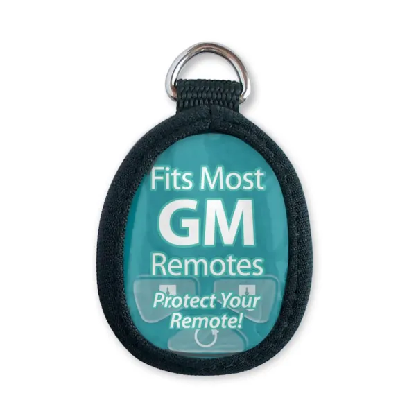 REMOTE SKIN DISP  GM  12/DISPLAY