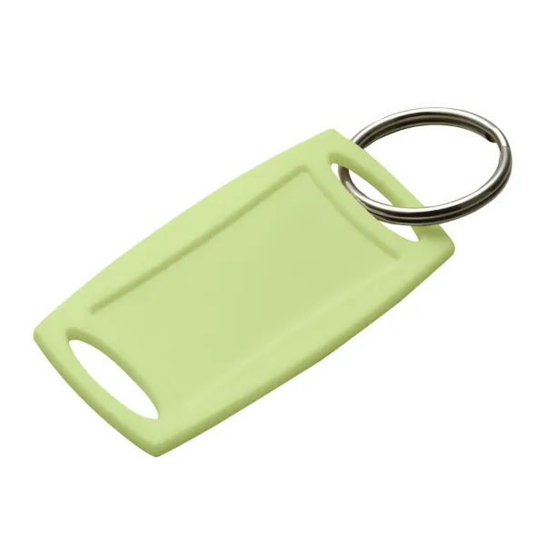 RECT.LABEL-IT TAG LIME  W/RING